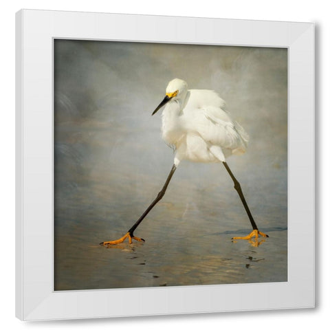 The Rock Star White Modern Wood Framed Art Print by Forns, Alfred