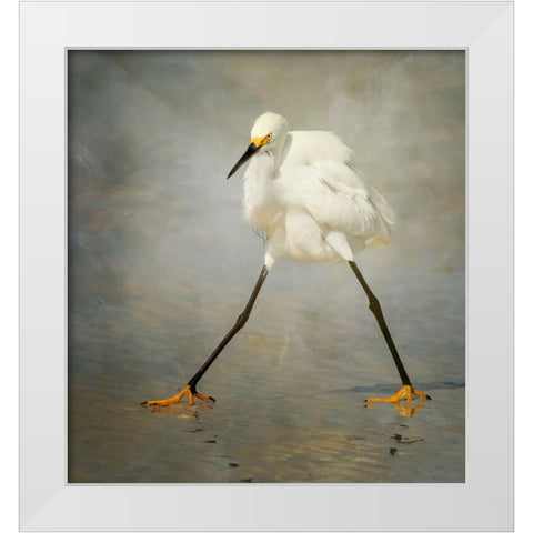 The Rock Star White Modern Wood Framed Art Print by Forns, Alfred