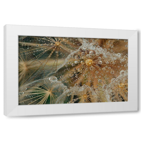 Starless White Modern Wood Framed Art Print by Filosofo, El