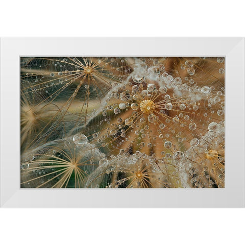 Starless White Modern Wood Framed Art Print by Filosofo, El