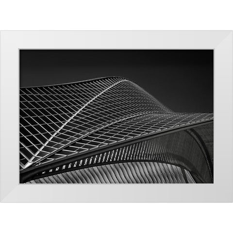 Stationlines White Modern Wood Framed Art Print by Van Maastricht, Henk