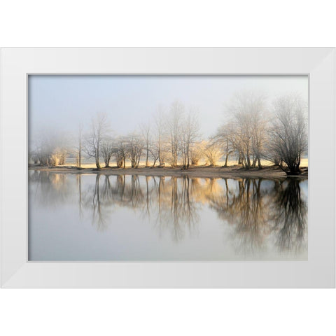 January Morning White Modern Wood Framed Art Print by Bor