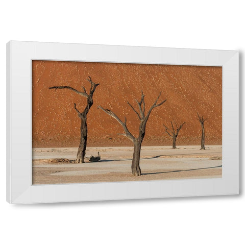 Dead Dancers White Modern Wood Framed Art Print by Stranak, Pavol