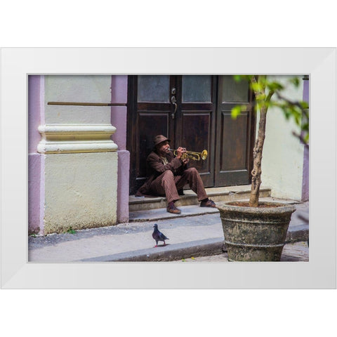 Playing For Pigeons White Modern Wood Framed Art Print by Hatherill, Colin