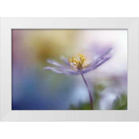 Springtime Watercolor White Modern Wood Framed Art Print by Westum, Heidi