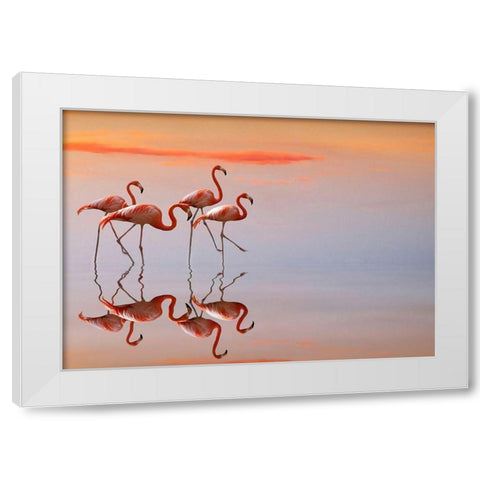 Flamingos Family White Modern Wood Framed Art Print by Cseresnjes, Anna