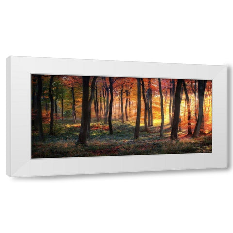 Autumn Woodland Sunrise White Modern Wood Framed Art Print by Photokes