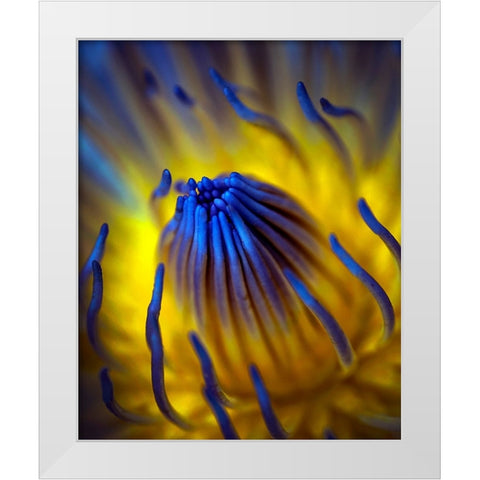 Blow Up White Modern Wood Framed Art Print by Bunjamin, Antonyus