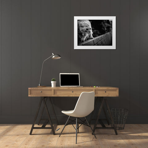 Ready To Fight White Modern Wood Framed Art Print by Suzuki, Tatsuo