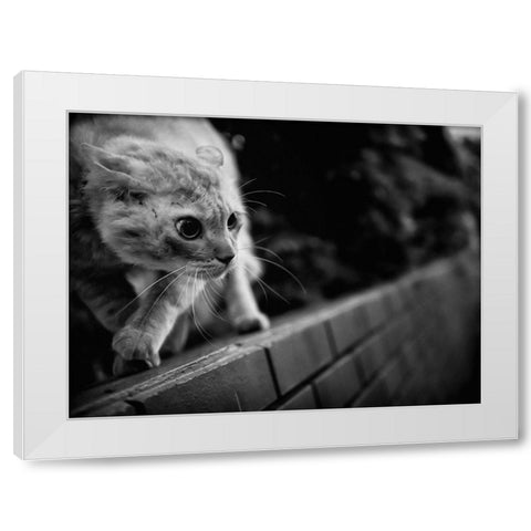 Ready To Fight White Modern Wood Framed Art Print by Suzuki, Tatsuo