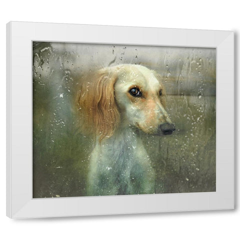 That Autumn... White Modern Wood Framed Art Print by Melik-Nubarova, Svetlana