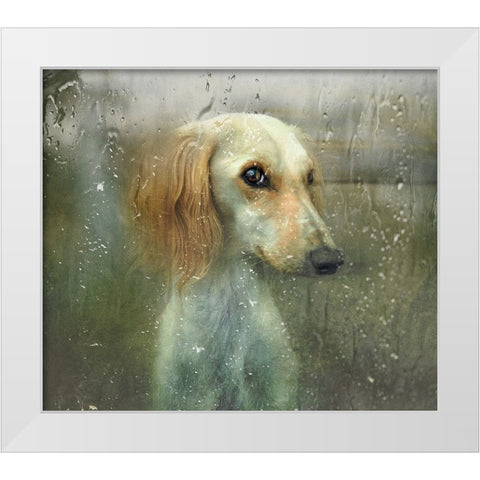 That Autumn... White Modern Wood Framed Art Print by Melik-Nubarova, Svetlana