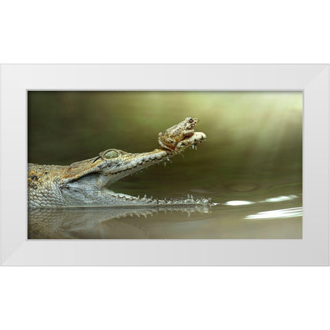 I Will Survive White Modern Wood Framed Art Print by Bhs, Fahmi