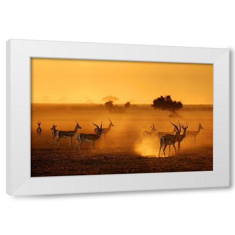 Sentinels White Modern Wood Framed Art Print by Guillemot, Mathilde