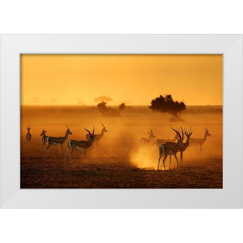 Sentinels White Modern Wood Framed Art Print by Guillemot, Mathilde