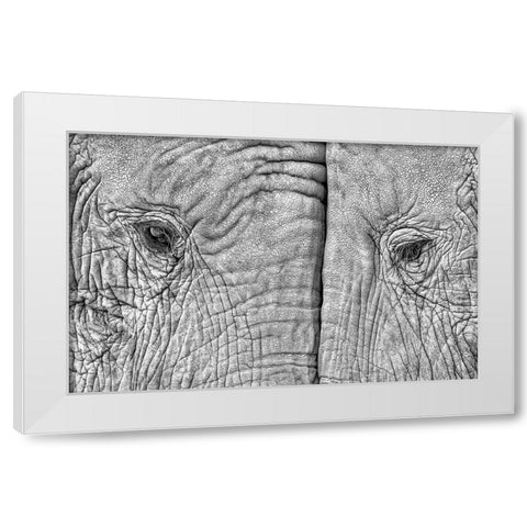 Two Elephants White Modern Wood Framed Art Print by Luis Duran, Juan