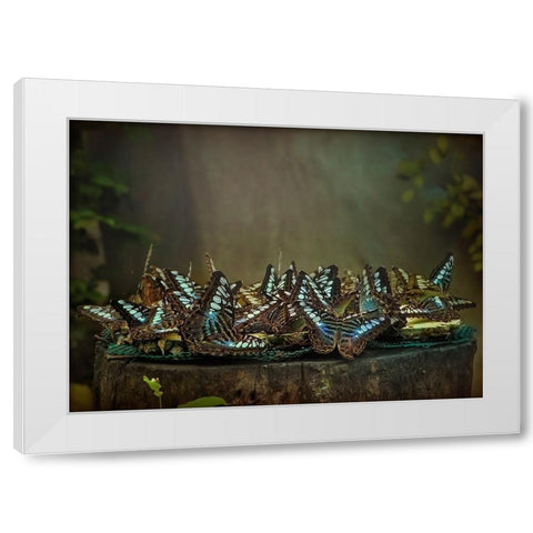 Rendezvous White Modern Wood Framed Art Print by Dagobert, Antoine