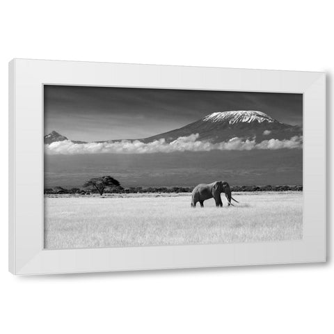 Lost Colors Ii White Modern Wood Framed Art Print by Canakci, Ibrahim