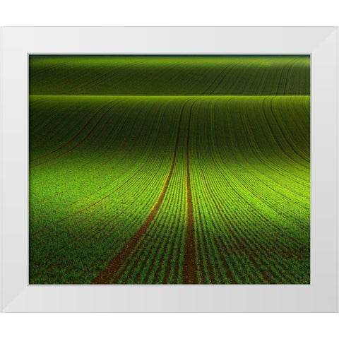 November Green White Modern Wood Framed Art Print by Schumacher, Nicolas