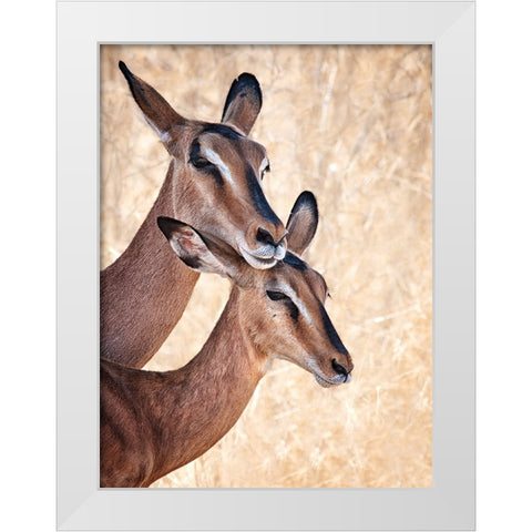 Do Not Worry, IM Here White Modern Wood Framed Art Print by Guillemot, Mathilde