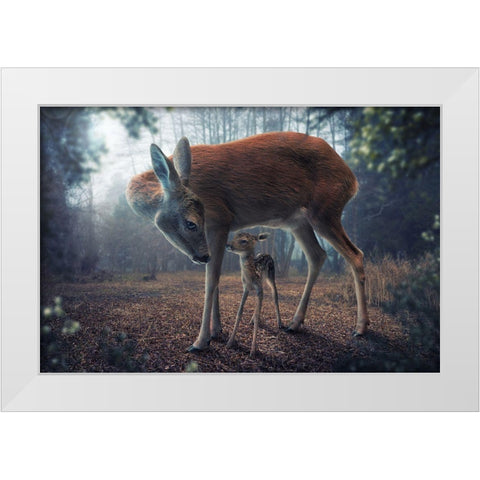 Mother And Fawn White Modern Wood Framed Art Print by Wilhelm, John