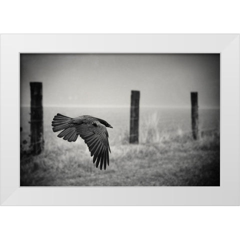The Day Of The Raven White Modern Wood Framed Art Print by Droste, Holger