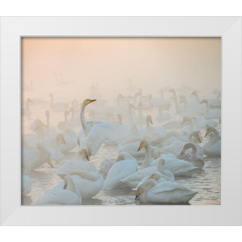 Song Of The Morning Light White Modern Wood Framed Art Print by Dubikovskiy, Dmitry