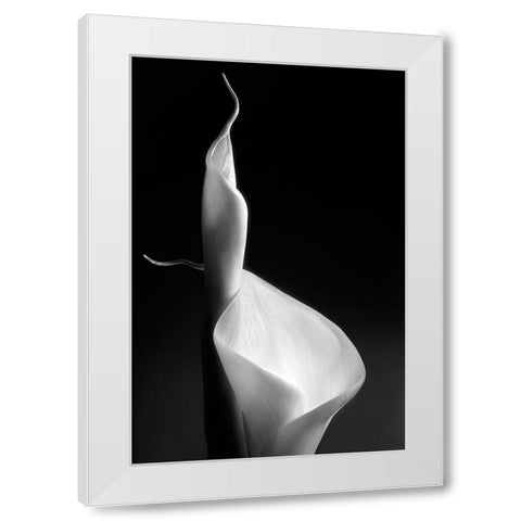 Female Curves White Modern Wood Framed Art Print by Pascual Buye, Santiago