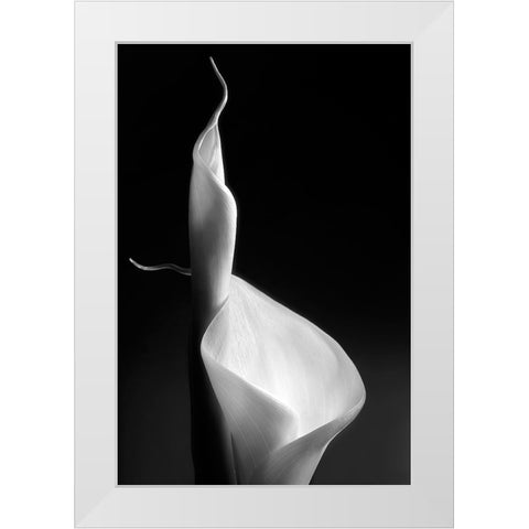 Female Curves White Modern Wood Framed Art Print by Pascual Buye, Santiago