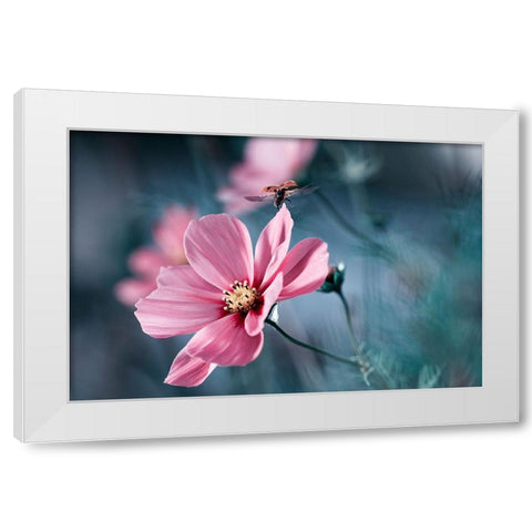 Clair De Terre White Modern Wood Framed Art Print by Bravin, Fabien