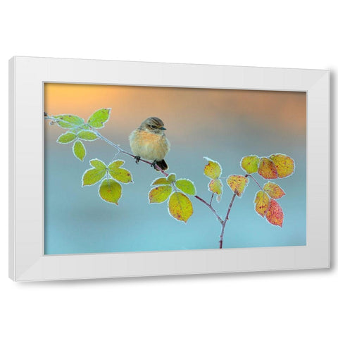 Winter Colors White Modern Wood Framed Art Print by Miguel Dominguez, Andres