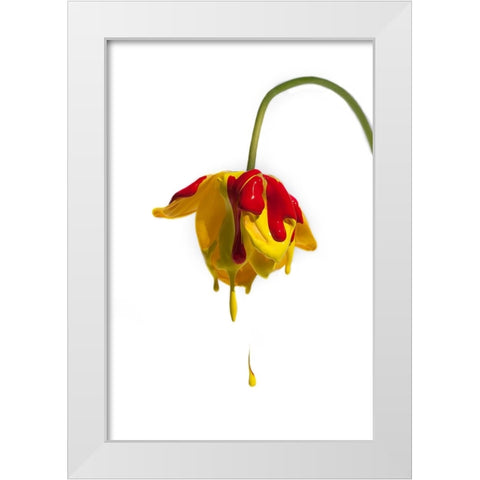 Crying Flower White Modern Wood Framed Art Print by Mathiesen, Kent