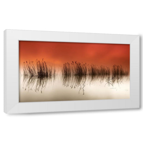 Serenity White Modern Wood Framed Art Print by David, Rui