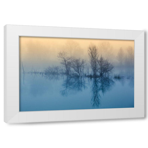 Morning Reflection White Modern Wood Framed Art Print by Butali, David