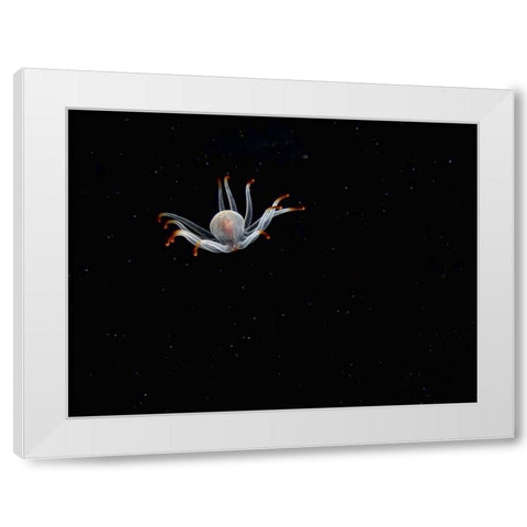 Alien White Modern Wood Framed Art Print by Barchana, Dani