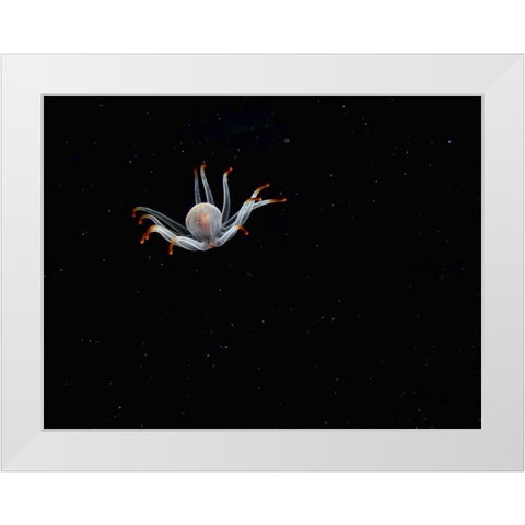 Alien White Modern Wood Framed Art Print by Barchana, Dani