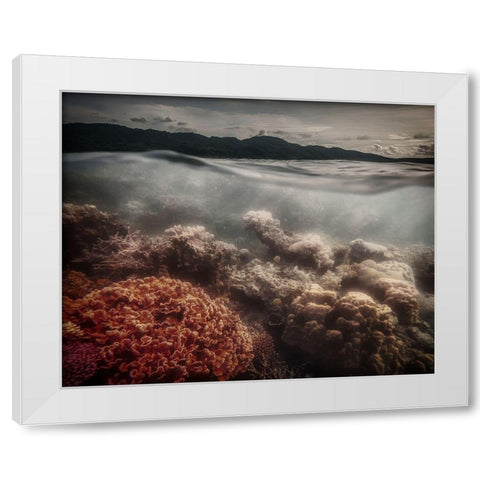 Underwater Evening White Modern Wood Framed Art Print by Stranak, Pavol