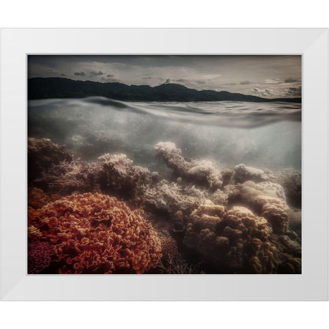 Underwater Evening White Modern Wood Framed Art Print by Stranak, Pavol