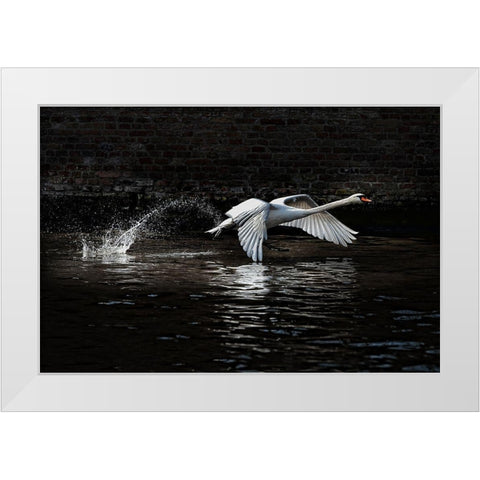 LEnvol White Modern Wood Framed Art Print by Flour, Piet