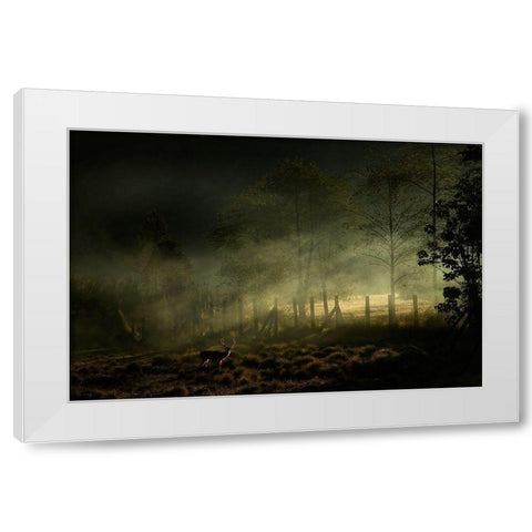 Misty Morning White Modern Wood Framed Art Print by Rizani, Nunu
