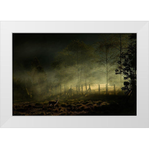 Misty Morning White Modern Wood Framed Art Print by Rizani, Nunu