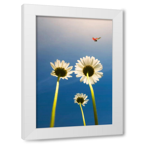 Ladybug White Modern Wood Framed Art Print by C. Lobato, Jose