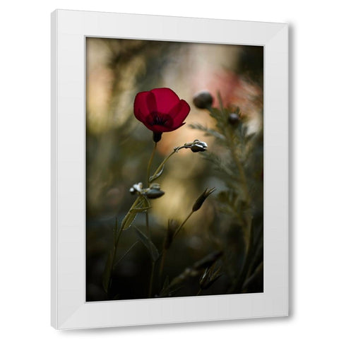 La Bailarina De Flamenco White Modern Wood Framed Art Print by BRAVIN, Fabien