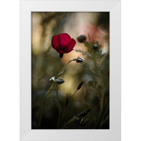 La Bailarina De Flamenco White Modern Wood Framed Art Print by BRAVIN, Fabien