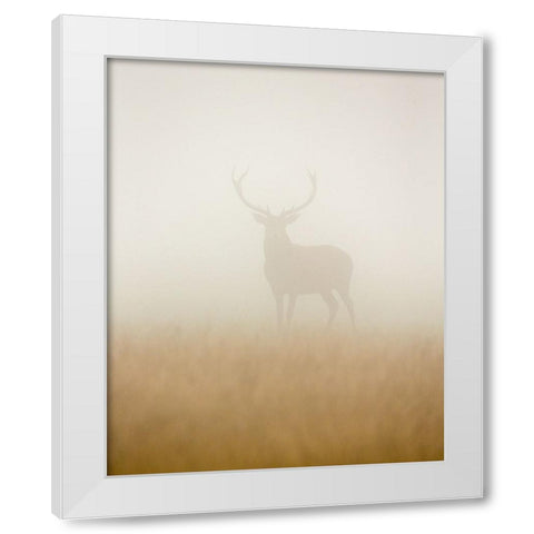 Ghost Stag White Modern Wood Framed Art Print by Harling, Stuart