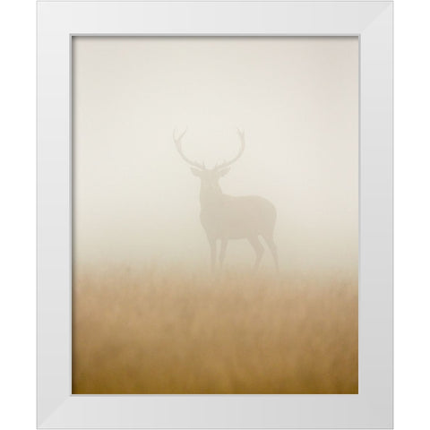 Ghost Stag White Modern Wood Framed Art Print by Harling, Stuart