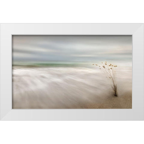 Ears In The Sea White Modern Wood Framed Art Print by Osuna, Fran