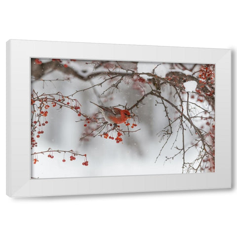 Nihonga White Modern Wood Framed Art Print by ASAMI, OSAMU