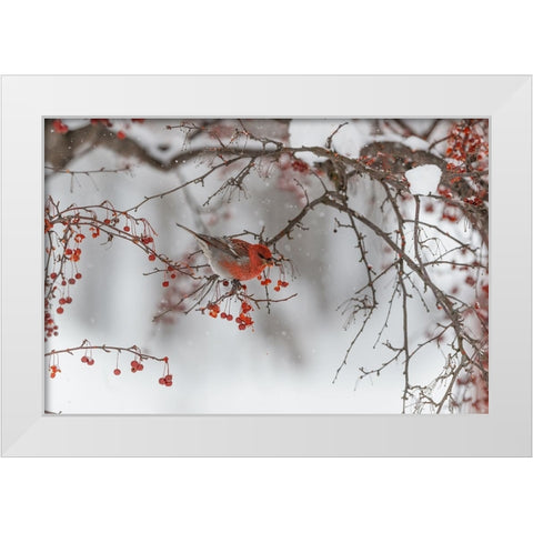 Nihonga White Modern Wood Framed Art Print by ASAMI, OSAMU