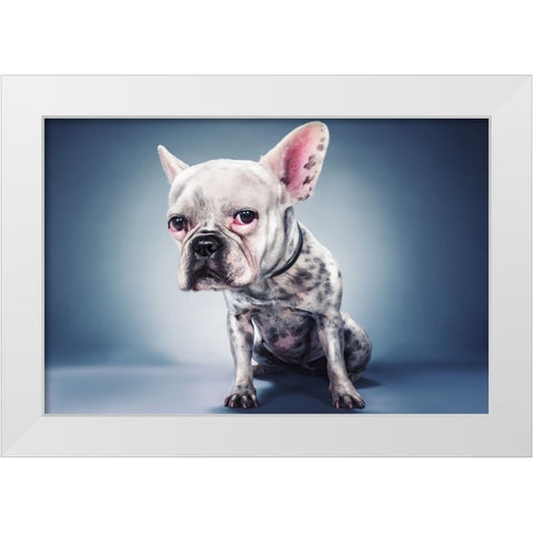 Big Head Project White Modern Wood Framed Art Print by Nachumovich, Moshe